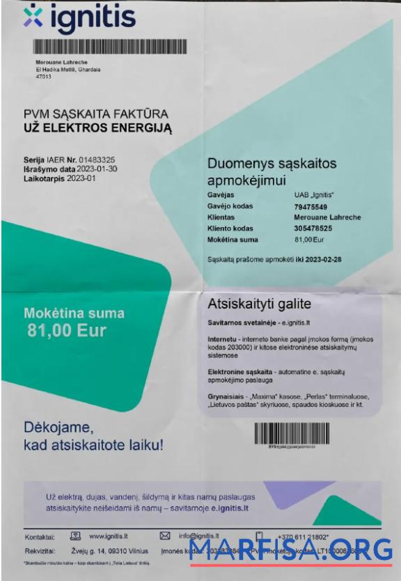 Downloadable LITVA IGNITIS utility bill Word and PDF template